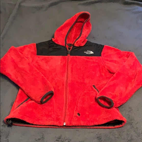 The North Face Jackets & Blazers - North Face coat